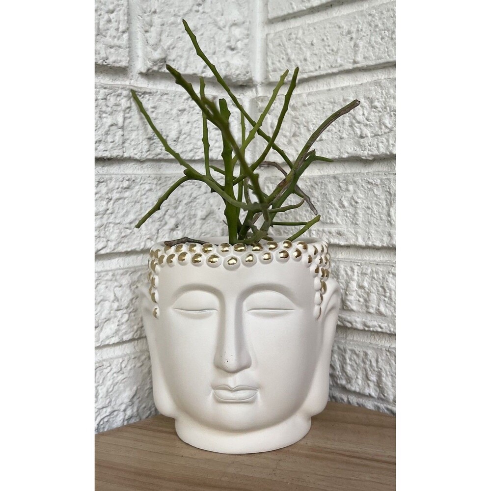 Buddha Head Face Concrete Planter Flower Pot White Gold Hobnail Textured Figural